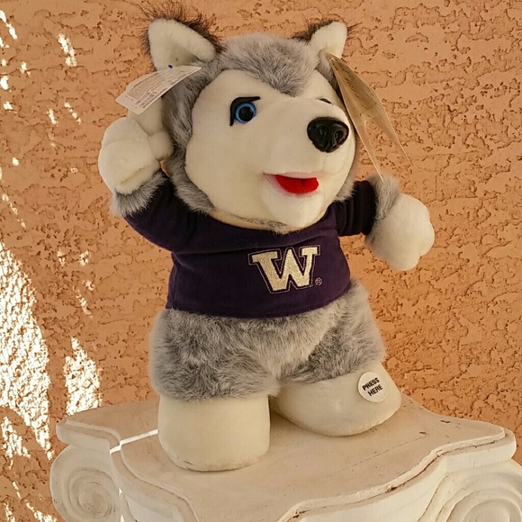 applause Other - LAST ONE ! Musical Mascot University of Washington